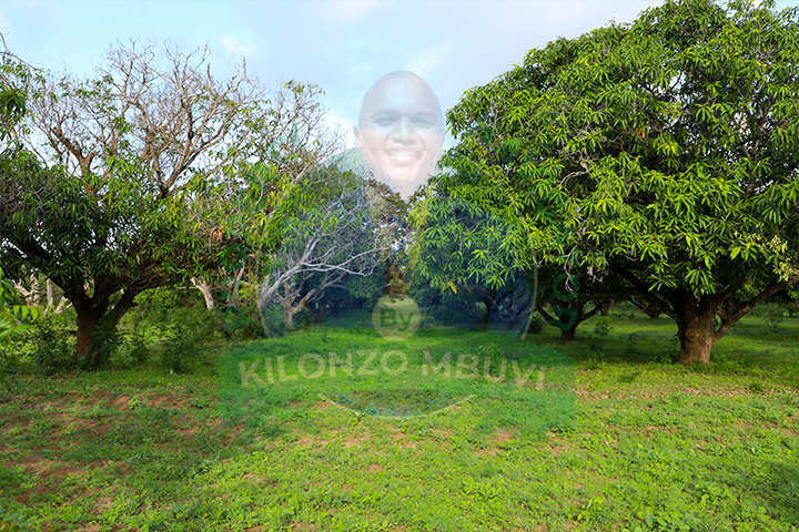 Kibali Cha Watoto Wetu Gardens - Malindi