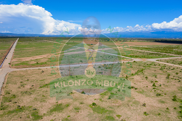 Great Oasis Gardens - Nanyuki